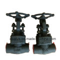 API602 800lb Forged Steel A105 Thread End NPT Gate Valve